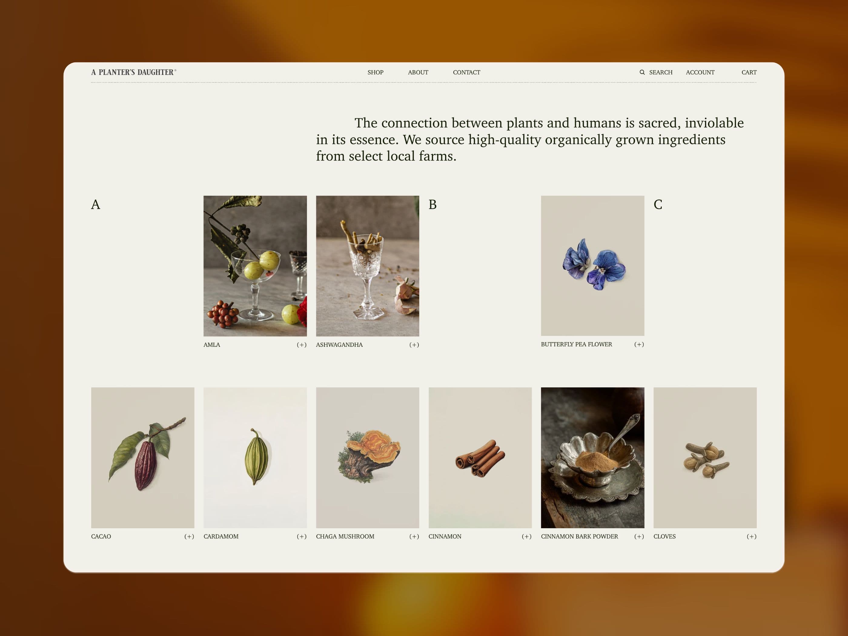Storefronts & Themes — 3